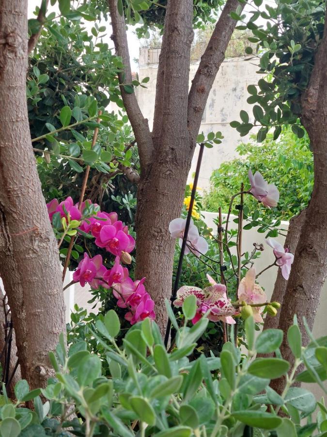 Casa D' Avo Zeza Apartment Jardim do Mar Ngoại thất bức ảnh