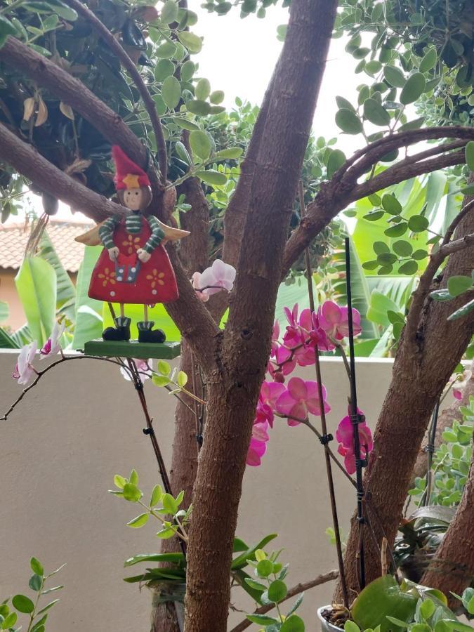 Casa D' Avo Zeza Apartment Jardim do Mar Ngoại thất bức ảnh