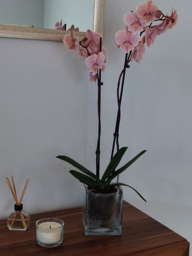 Casa D' Avo Zeza Apartment Jardim do Mar Ngoại thất bức ảnh